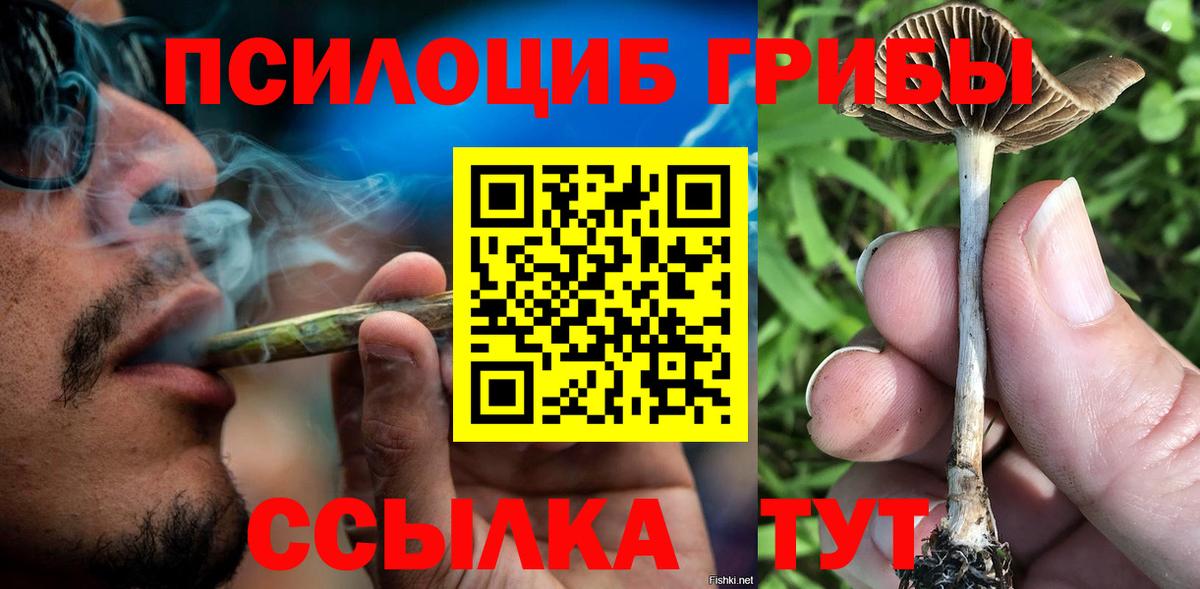 Псилоцибиновые грибы Psilocybe Щёкино